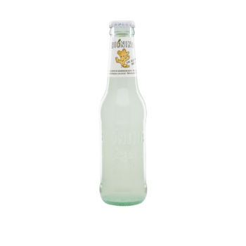 Bionina ginger beer